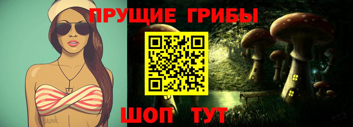 Майкоп  Галлюциногенные грибы Psilocybe  Вход с VPN 